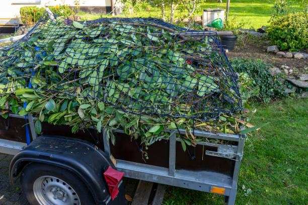 Best Residential Junk Removal  in Petersburg, WV